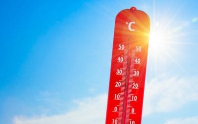 Canicule – Adoptez les bons réflexes face à la chaleur